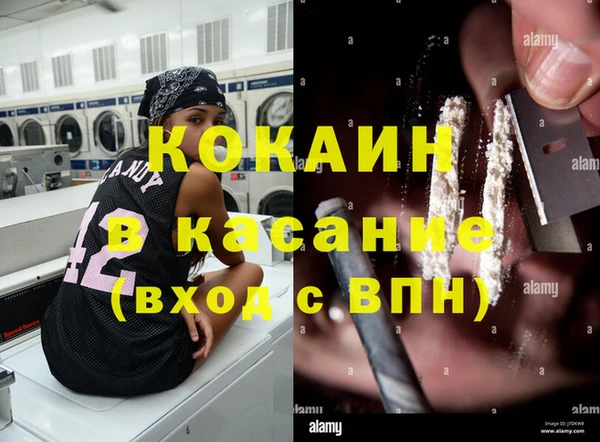 ГАЛЛЮЦИНОГЕННЫЕ ГРИБЫ Кропоткин