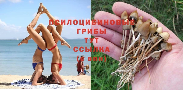 ALPHA PVP Медногорск