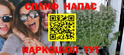 дурь Дубна