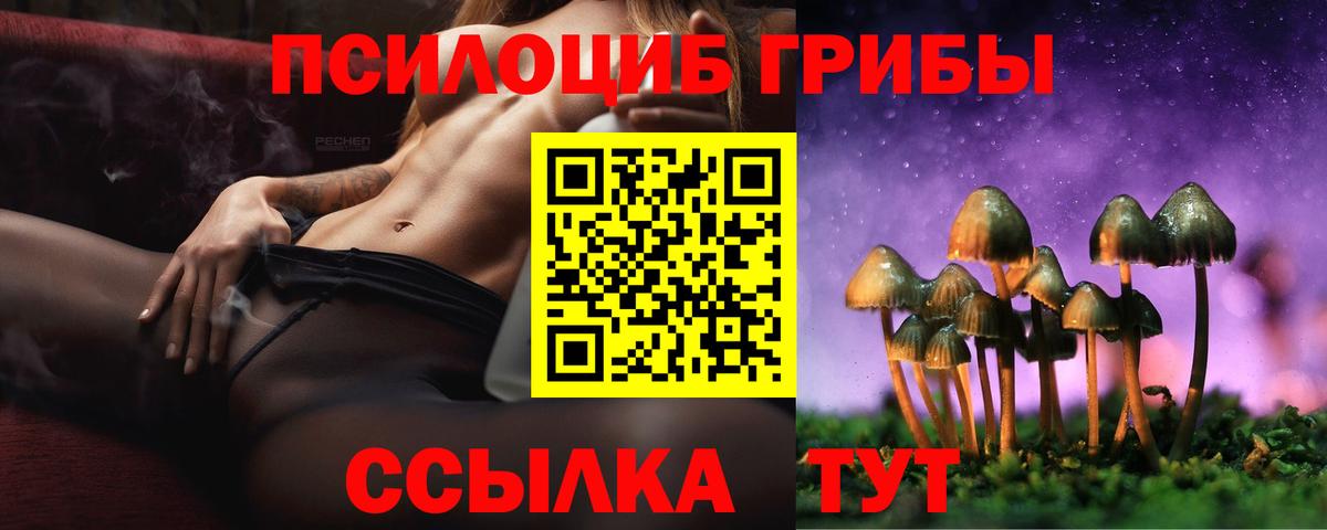 Малгобек  Галлюциногенные грибы MAGIC MUSHROOMS  Вход с VPN 